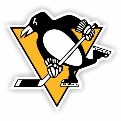 Penguins fall in overtime again